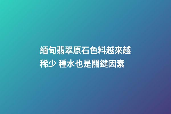 緬甸翡翠原石色料越來越稀少 種水也是關鍵因素